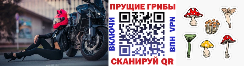 Галлюциногенные грибы мухоморы  hydra рабочий сайт  Отрадная 