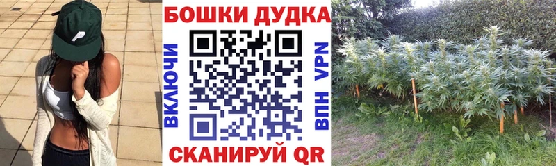 МАРИХУАНА SATIVA & INDICA Отрадная